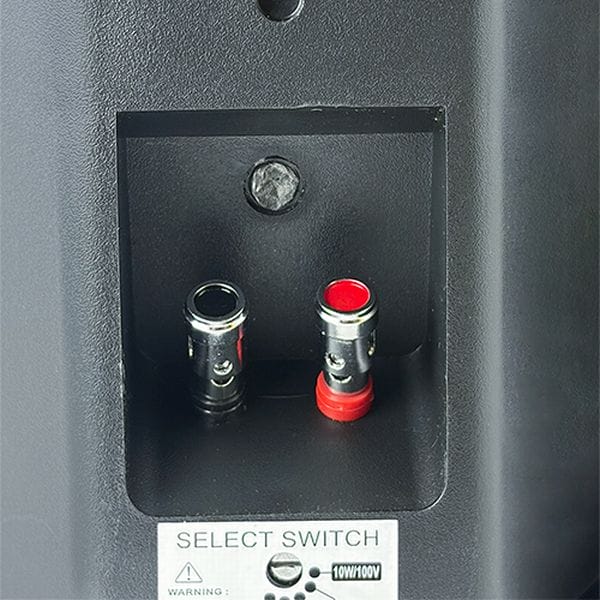 Двох смугова настінна акустична система Inter Audio HYB-4T HYB-4T Black