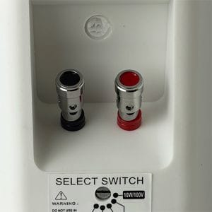 Двох смугова настінна акустична система  Inter Audio HYB-4T з підключенням 8 ом або 100 Вольт