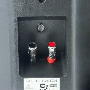 Двох смугова настінна акустична система Inter Audio HYB-4T HYB-4T Black